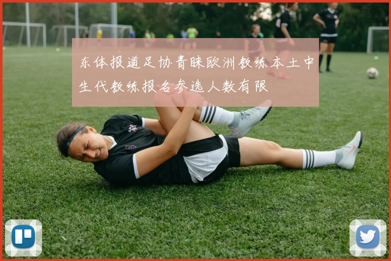 东体报道足协青睐欧洲教练本土中生代教练报名参选人数有限